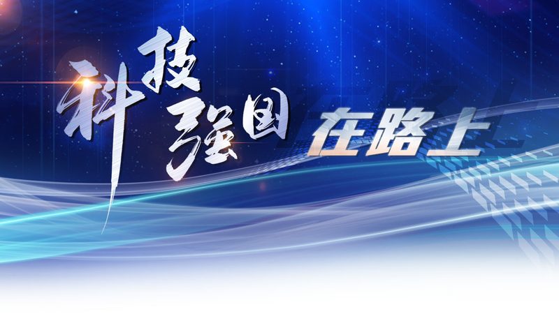 数据安全风险评估：揭秘企业如何筑牢数字防线