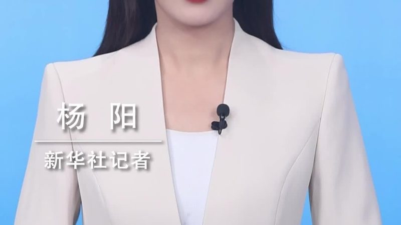 数字化解决方案定制，费用几何？揭秘定制化之路**